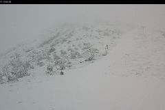 Nov-2013-Spring-Snow-Excelerator