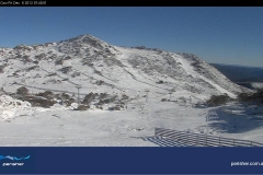5-Dec-2013-Summer-snow-Blue-Cow